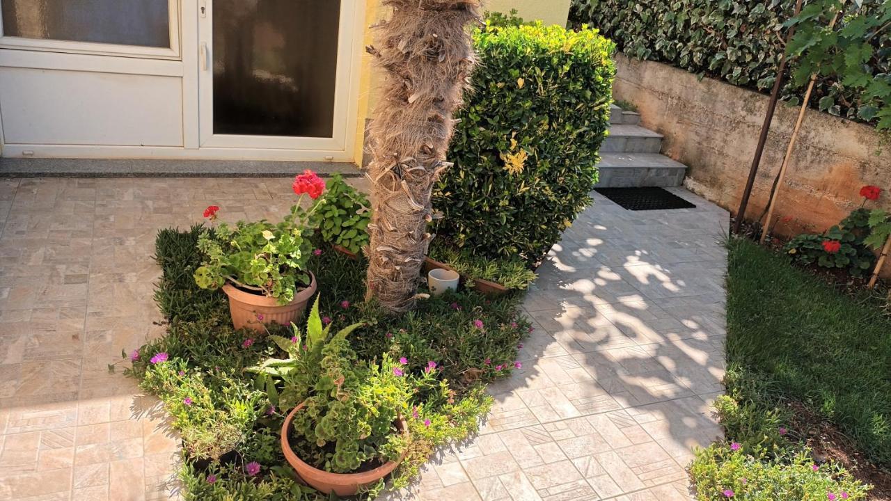 PUY Apartments Monte Magno מראה חיצוני תמונה