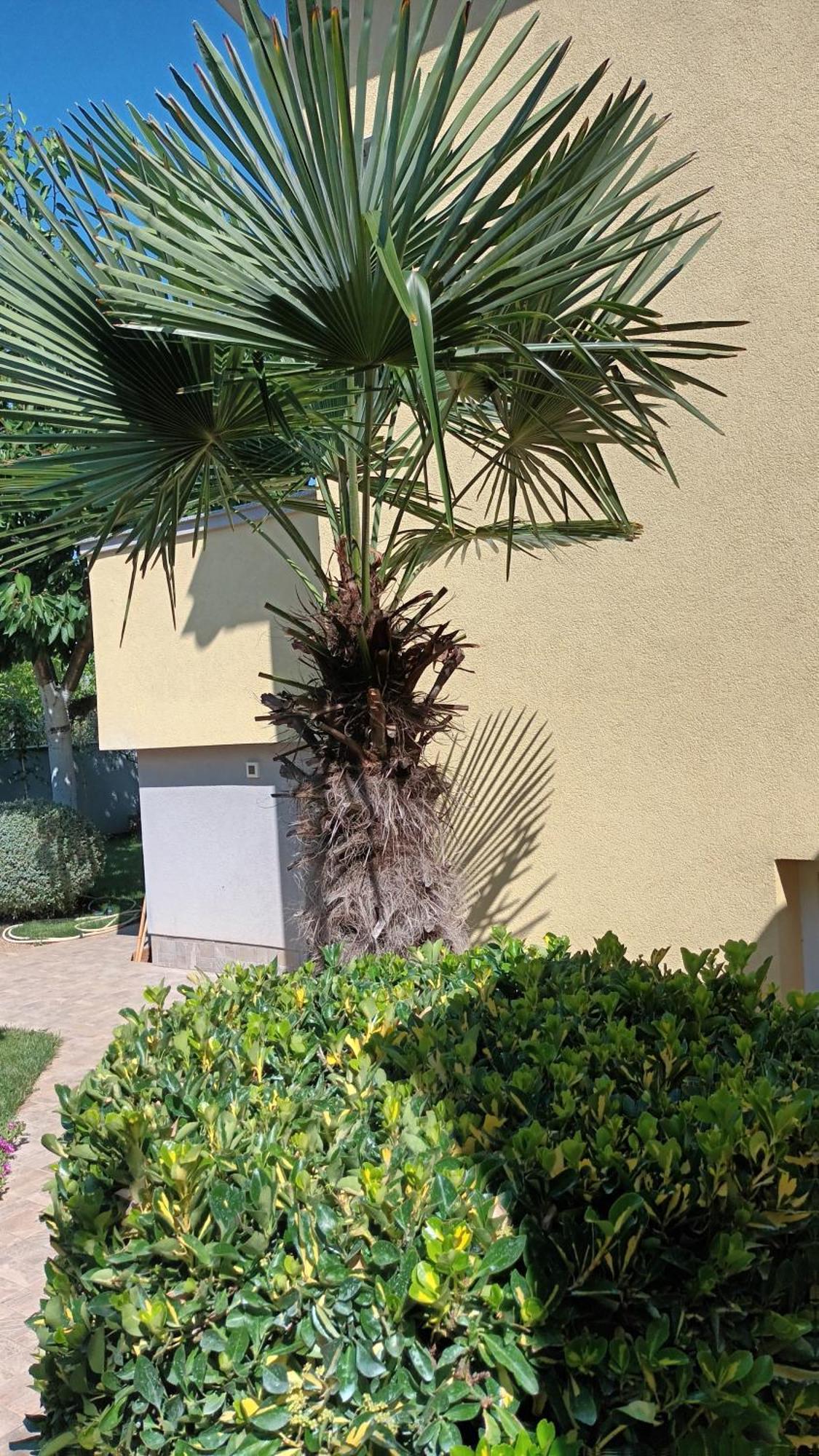 PUY Apartments Monte Magno מראה חיצוני תמונה