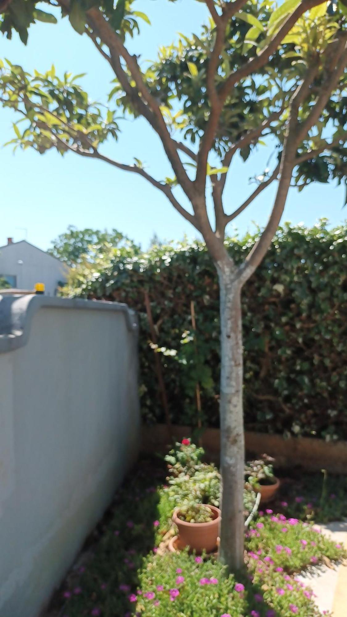 PUY Apartments Monte Magno מראה חיצוני תמונה