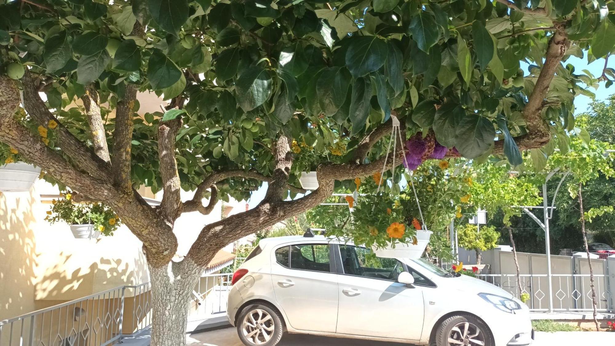 PUY Apartments Monte Magno מראה חיצוני תמונה