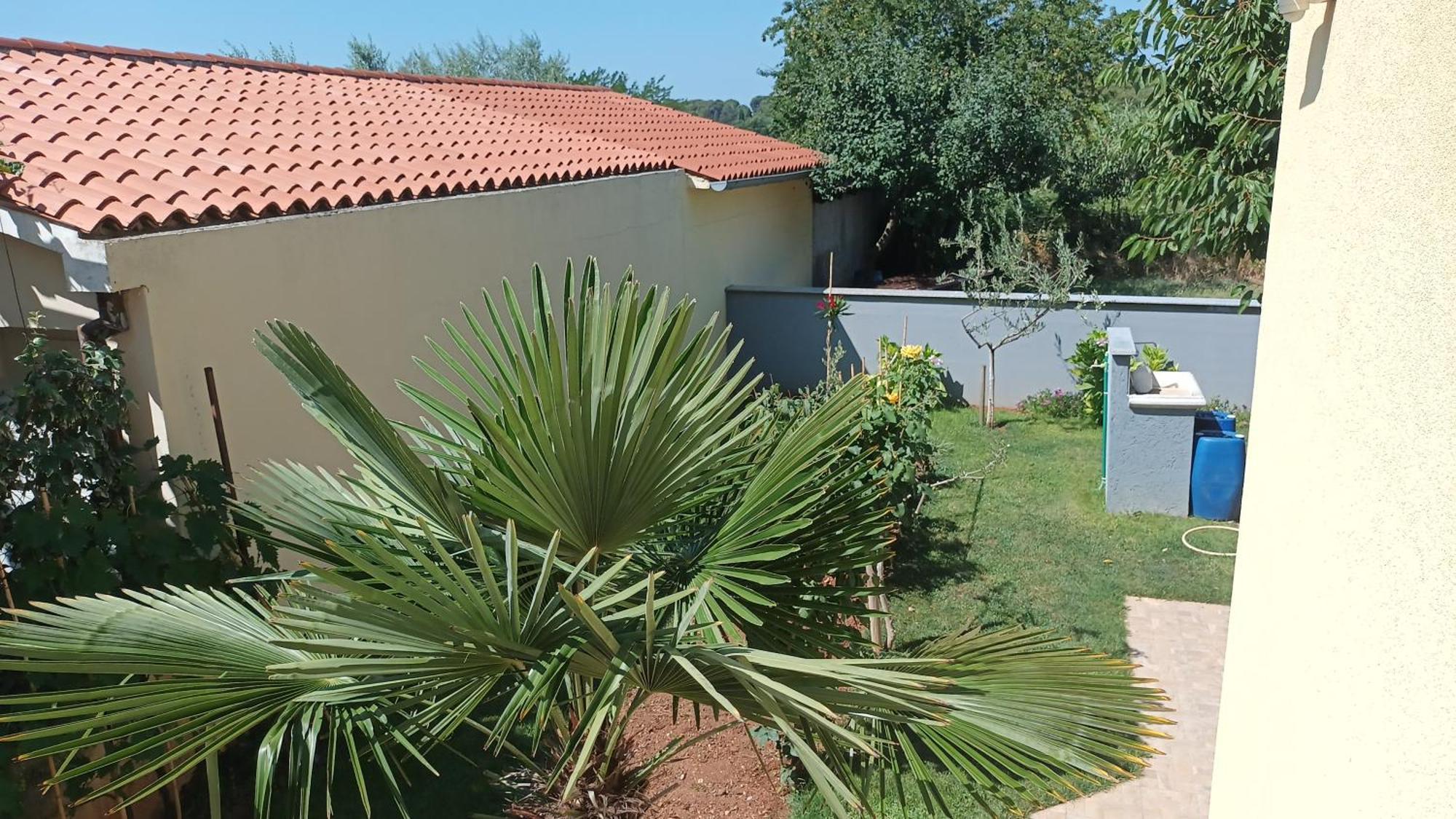 PUY Apartments Monte Magno מראה חיצוני תמונה
