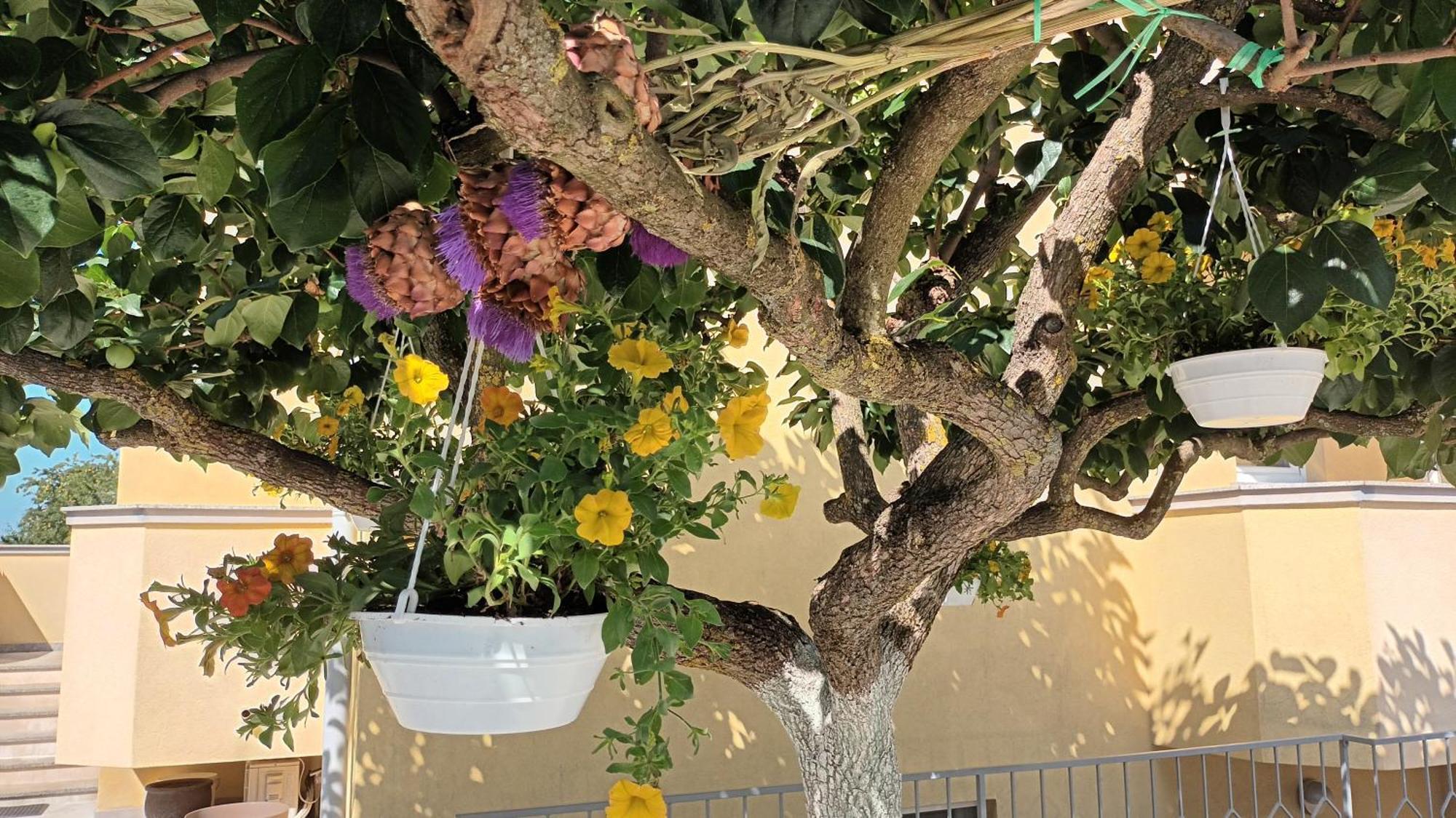 PUY Apartments Monte Magno מראה חיצוני תמונה