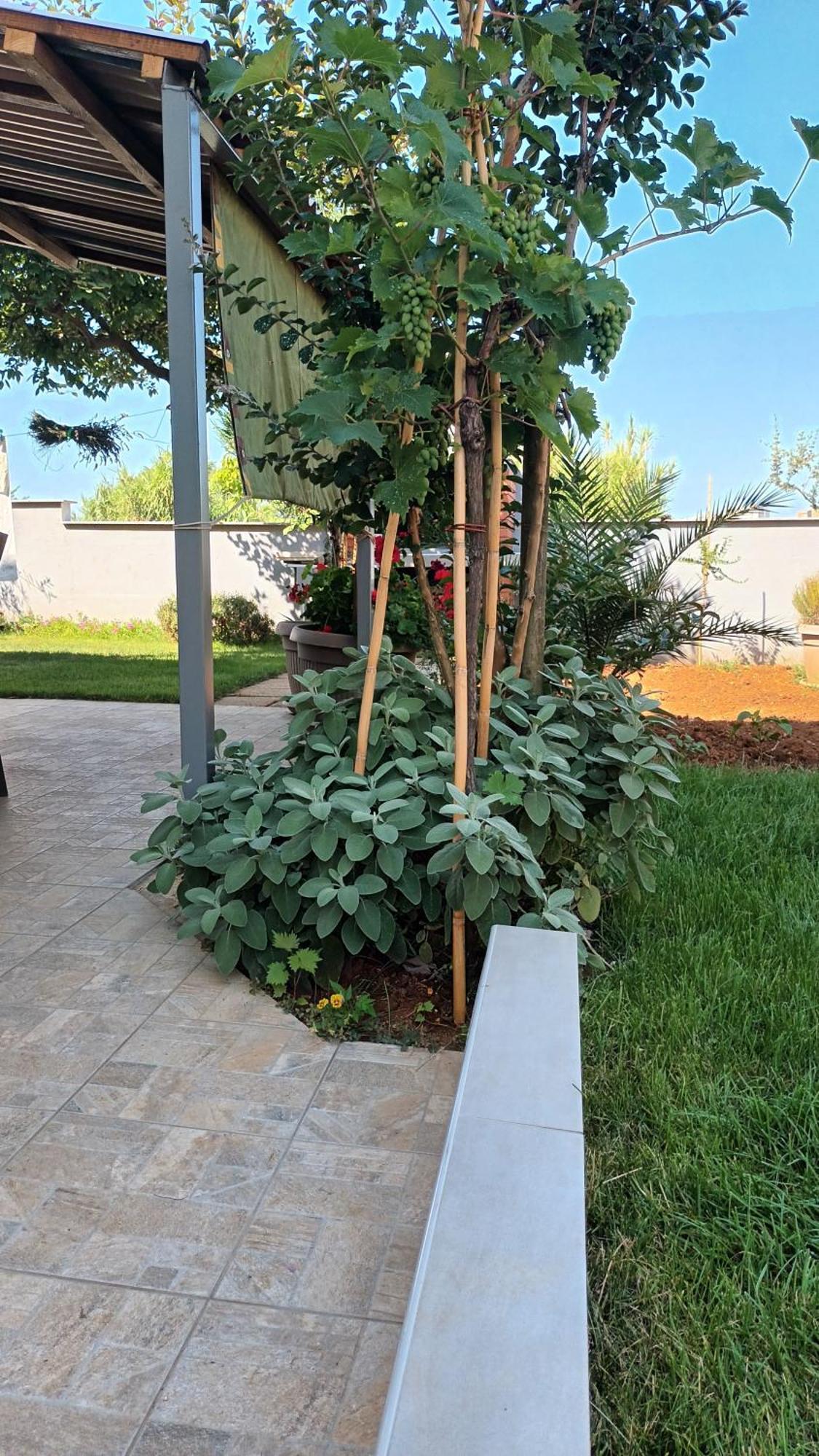 PUY Apartments Monte Magno מראה חיצוני תמונה