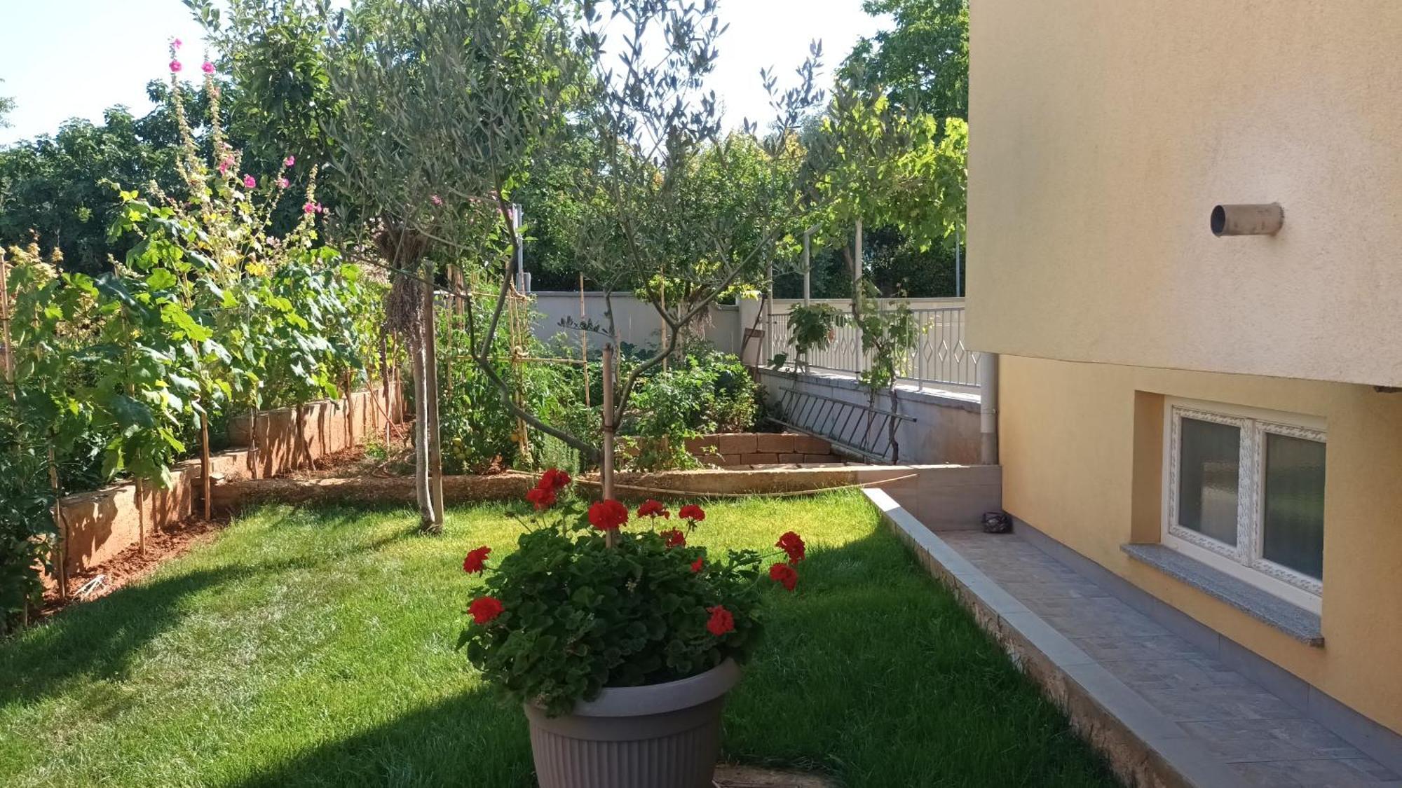 PUY Apartments Monte Magno מראה חיצוני תמונה
