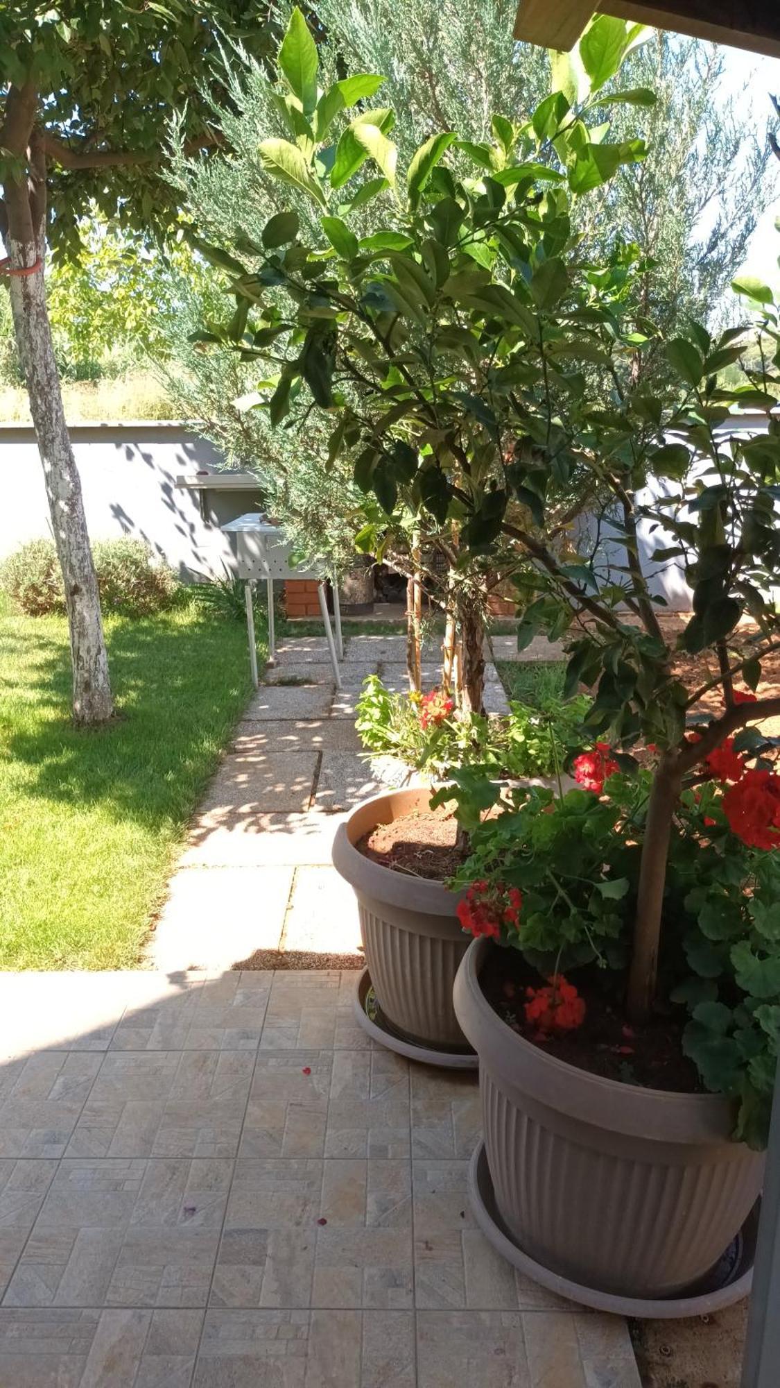 PUY Apartments Monte Magno מראה חיצוני תמונה