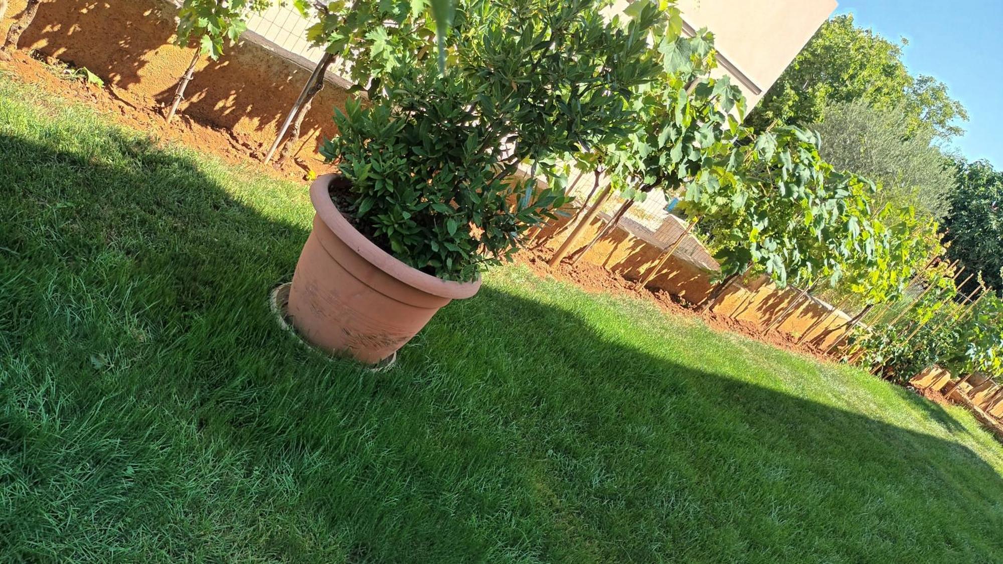 PUY Apartments Monte Magno מראה חיצוני תמונה