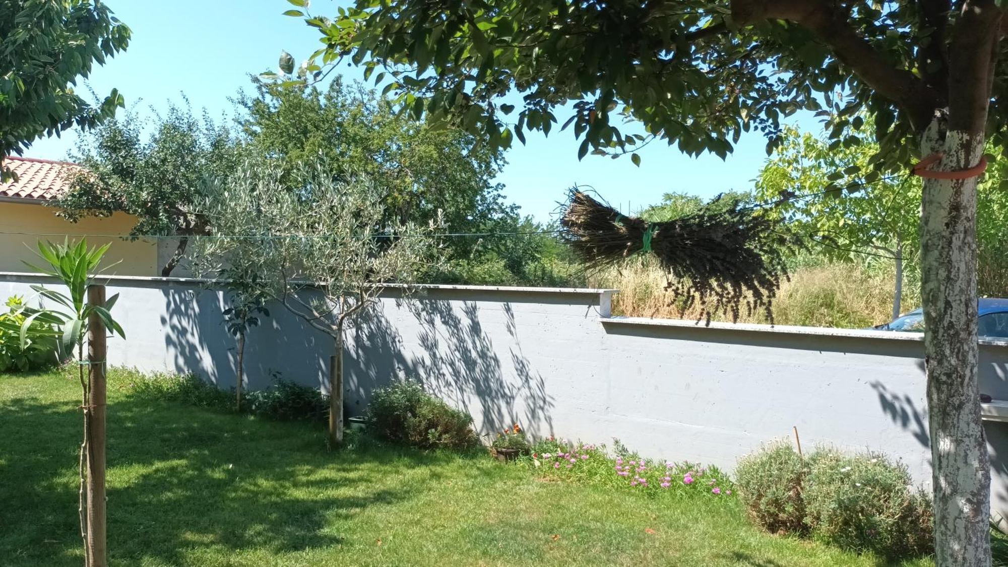 PUY Apartments Monte Magno מראה חיצוני תמונה